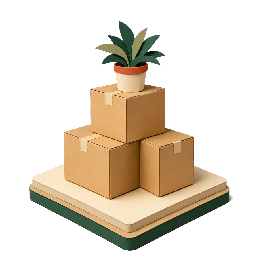 Three sealed moving boxes with a small plant on top, for packing up a home to move overseas for good