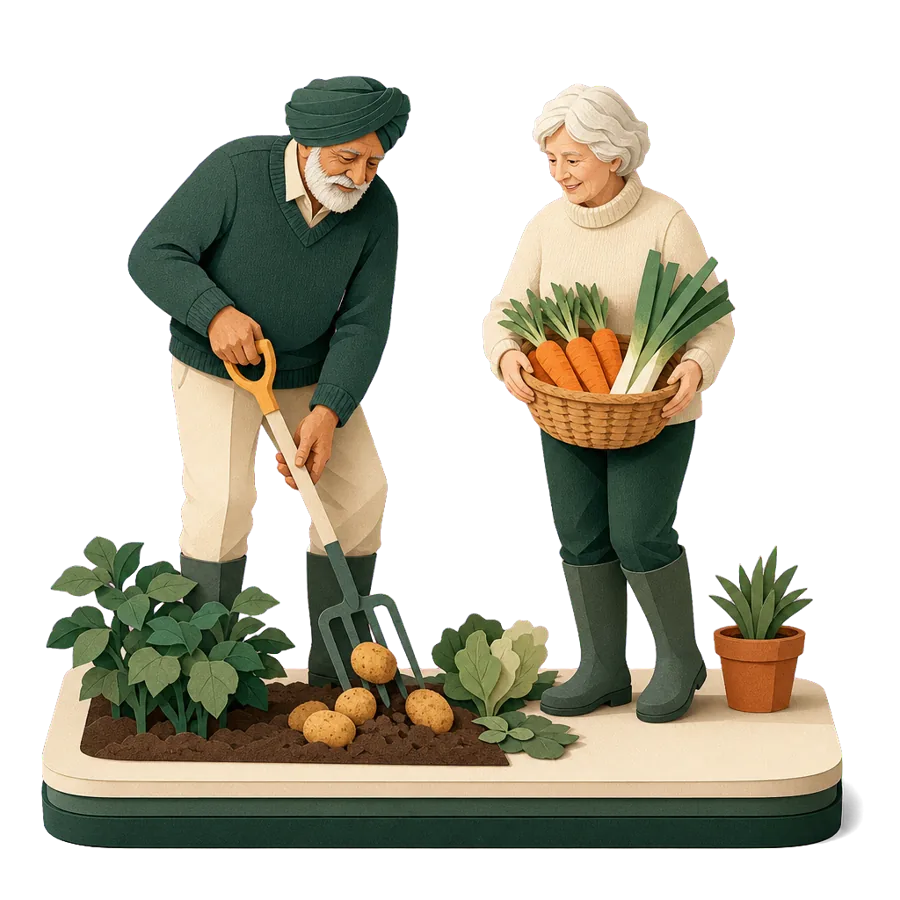 A retired couple dig potatoes and pick carrots on their allotment, for who the UK suits