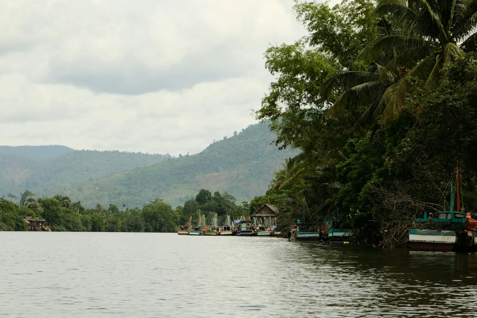 Wide brown river with painted fishing boats moored under palms and forested hills behind, near Kampot