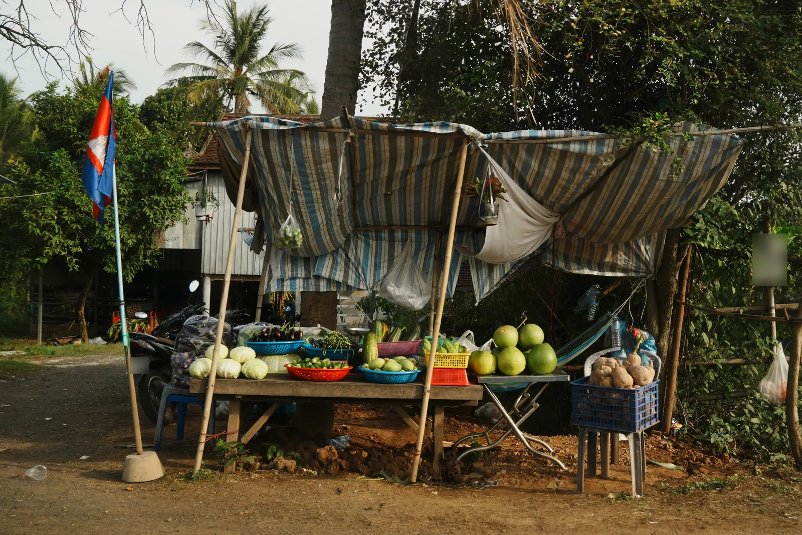 Roadside stall under a striped tarp selling cabbages, pomelos and aubergines, with a Cambodian flag beside it