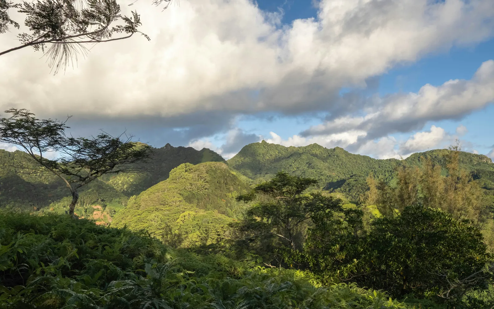 Steep green mountain ridges and forested hills under a sky of white and grey cloud