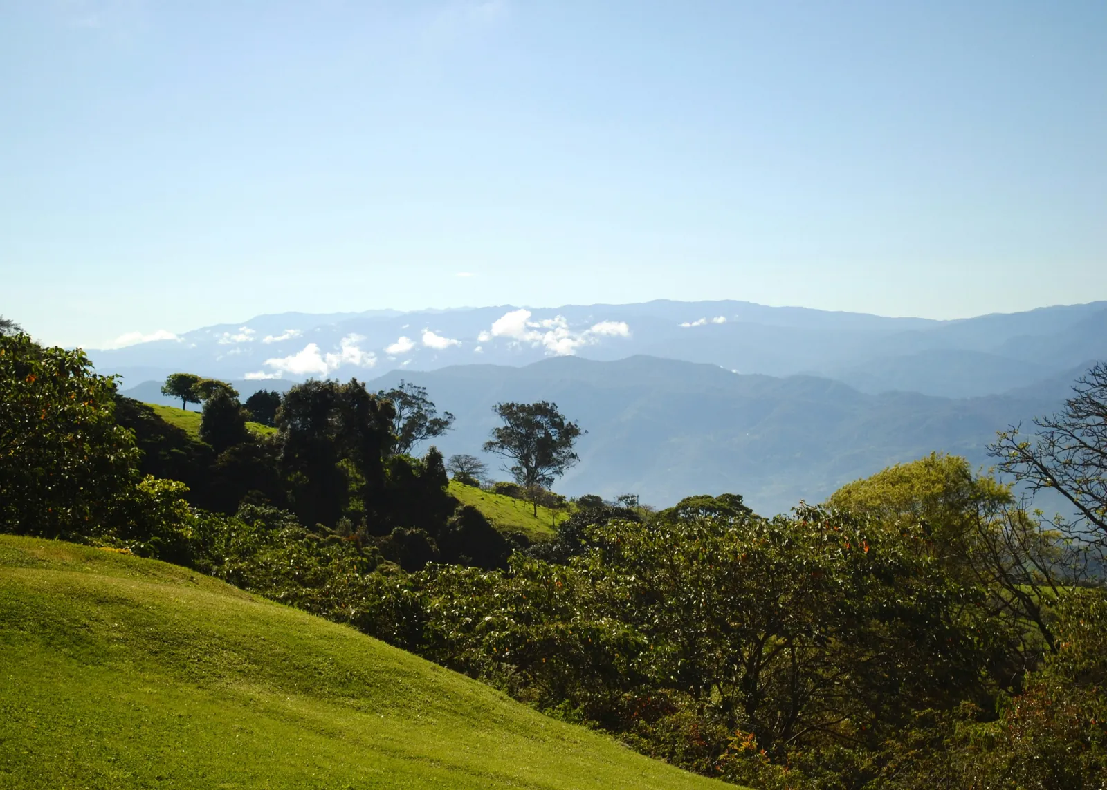 A sunlit grassy slope and leafy trees in the foreground, with forested hills and blue mountain ranges fading into haze and low cloud behind