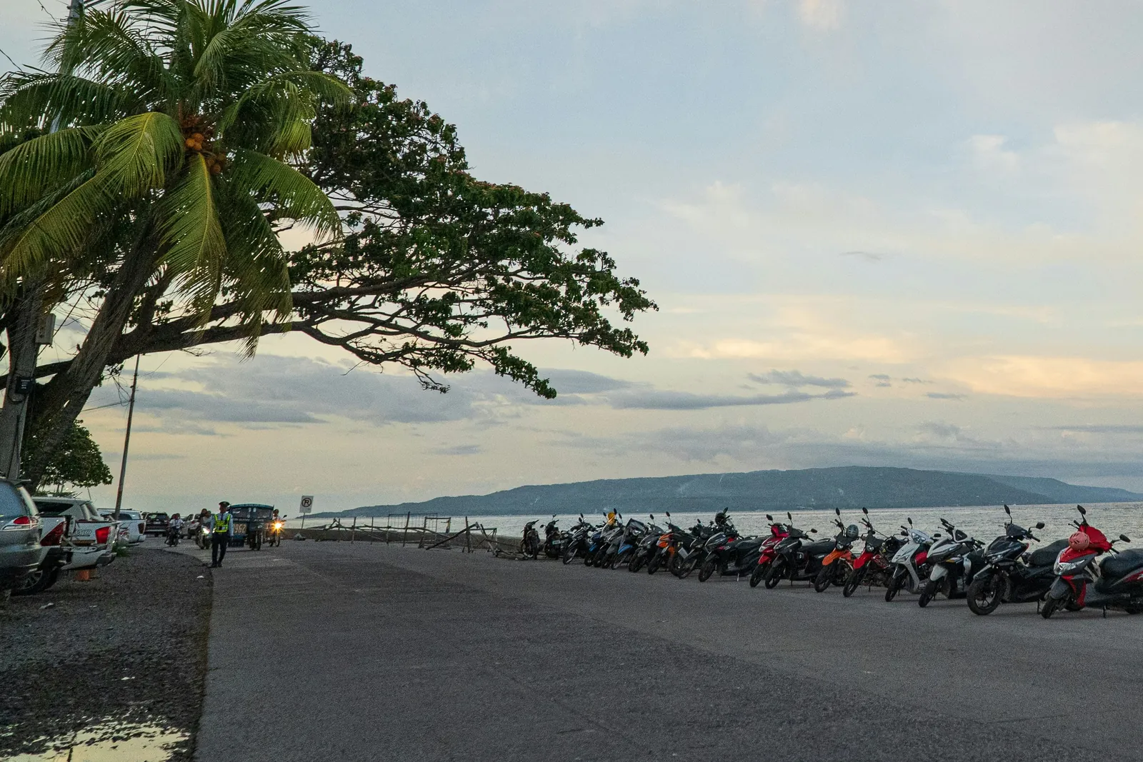 A seafront road at dusk with a leaning coconut palm and a spreading tree on one side, a row of parked motorbikes along the sea wall, and an island on the horizon