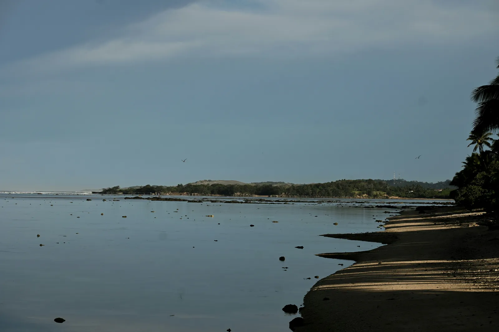 A quiet beach on Fiji’s Coral Coast at low tide, the calm lagoon reflecting a grey-blue sky, with palms on the shore and green hills along the coast