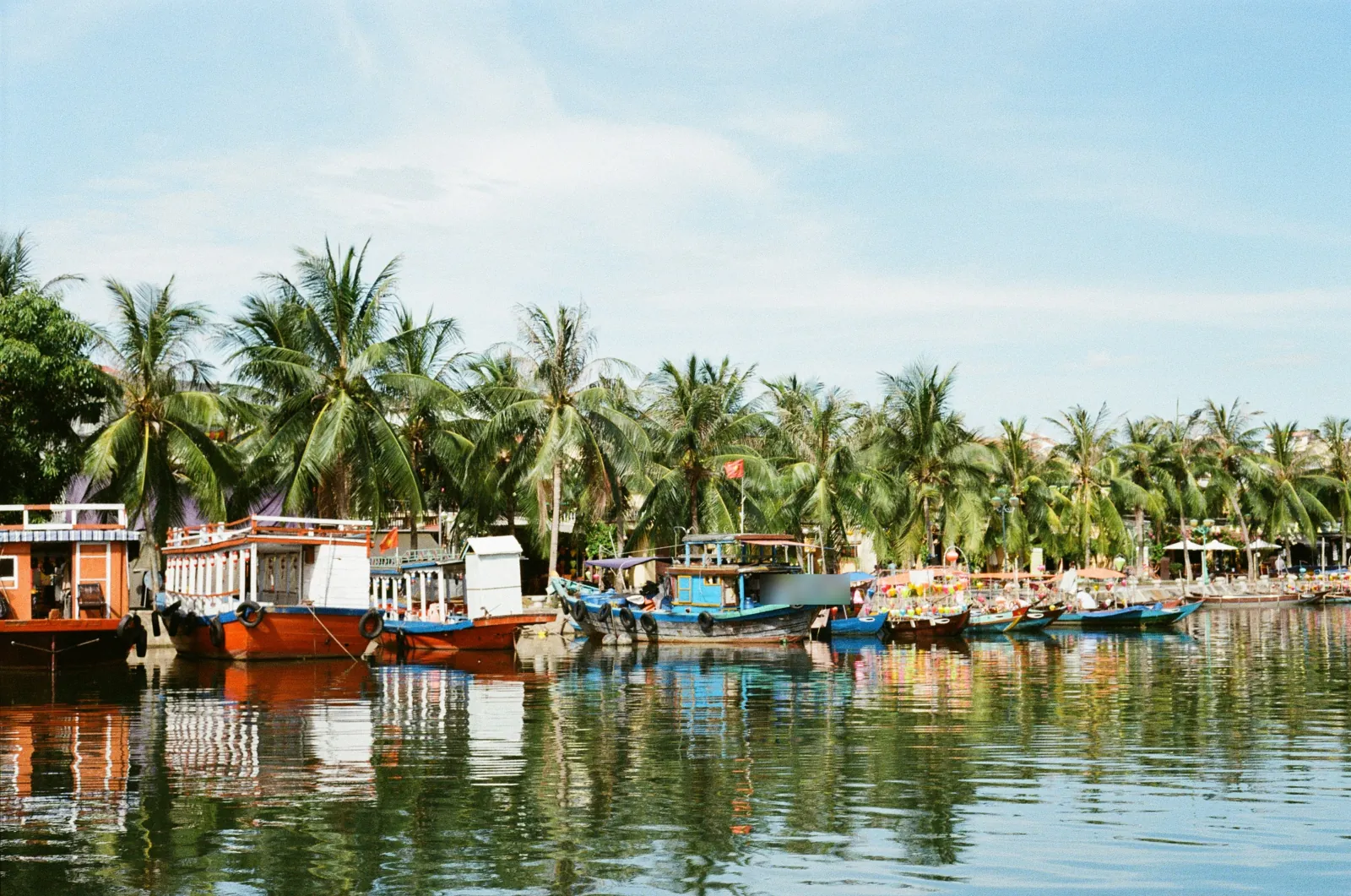 Wooden river boats moored along a bank of tall coconut palms, reflected in still green water under a pale blue sky