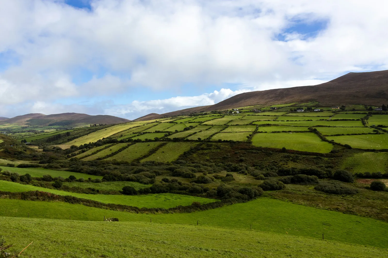 Patchwork of bright green fields divided by hedgerows climbing a hillside to scattered white farmhouses, with brown hills and a cloudy sky