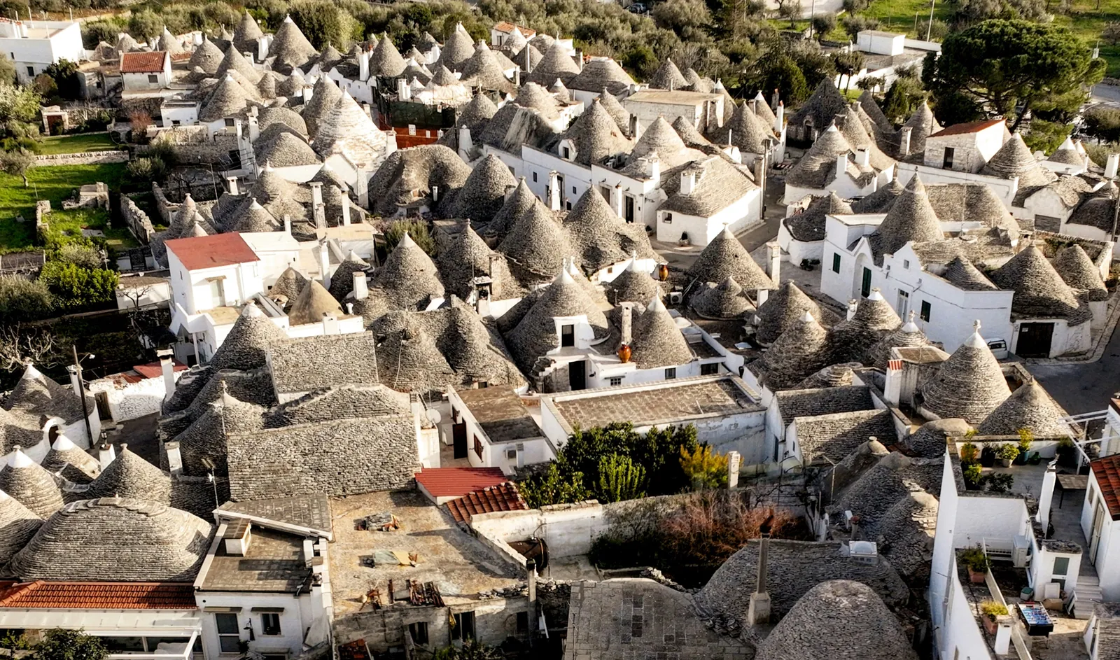 Rooftops of Alberobello seen from above, a crowd of grey conical stone trulli roofs and whitewashed walls among olive trees