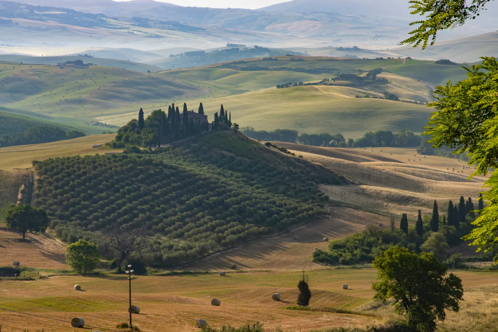 Rolling Tuscan hills in morning haze, with an olive grove climbing to a farmhouse ringed by cypress trees and round hay bales in the fields