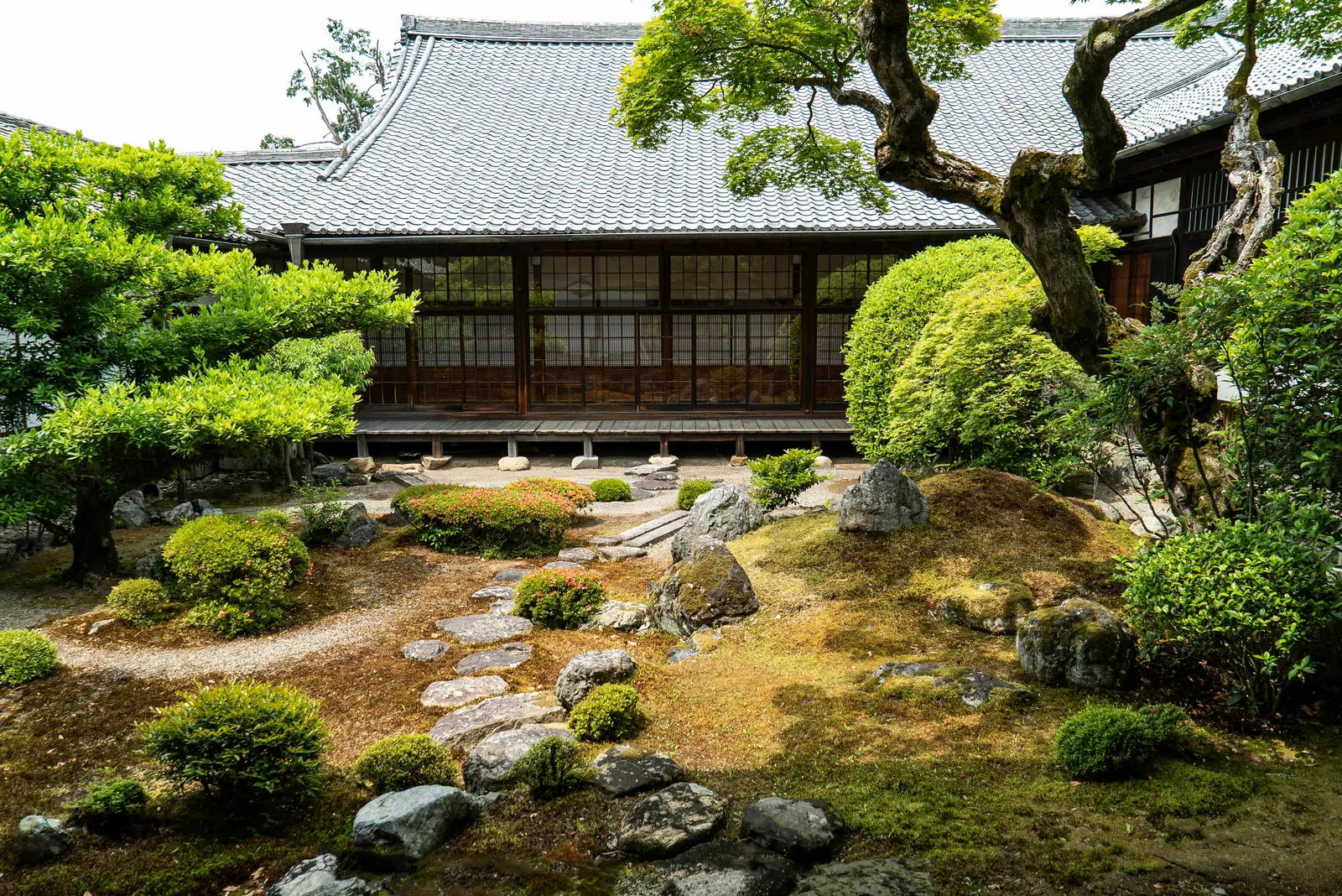 A Japanese temple garden of moss, rocks, stepping stones and clipped shrubs in front of a long wooden hall with a grey tiled roof and paper screens