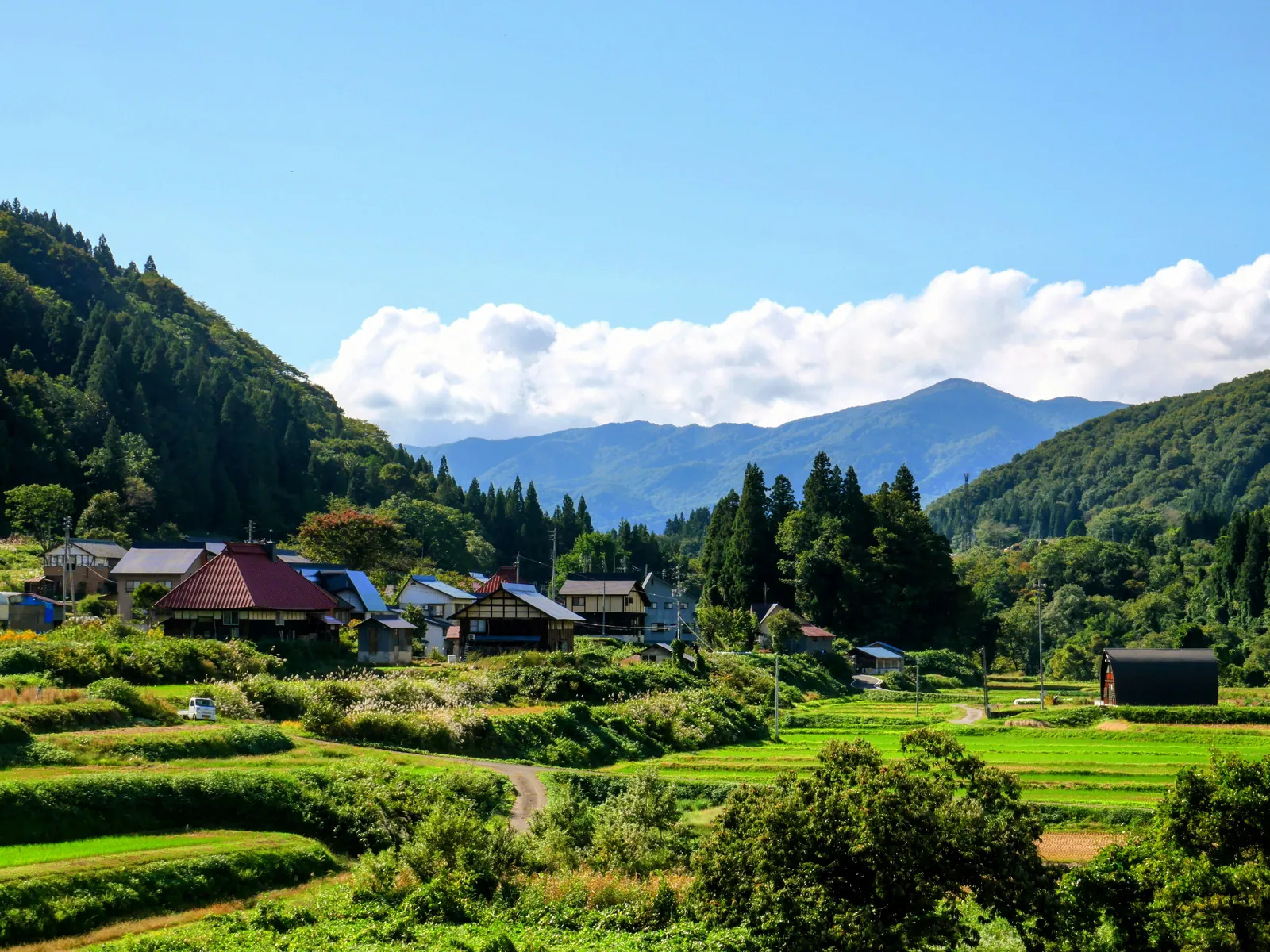 A small farming village of tiled and tin-roofed houses beside green rice terraces, with cedar forest, mountains and a long bank of white cloud behind