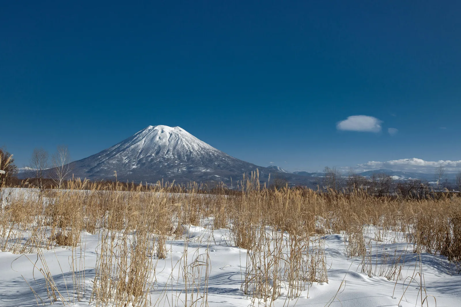 A snow-capped volcano rising above a flat snowy field of tall dry golden grass, under a deep blue sky with one small cloud