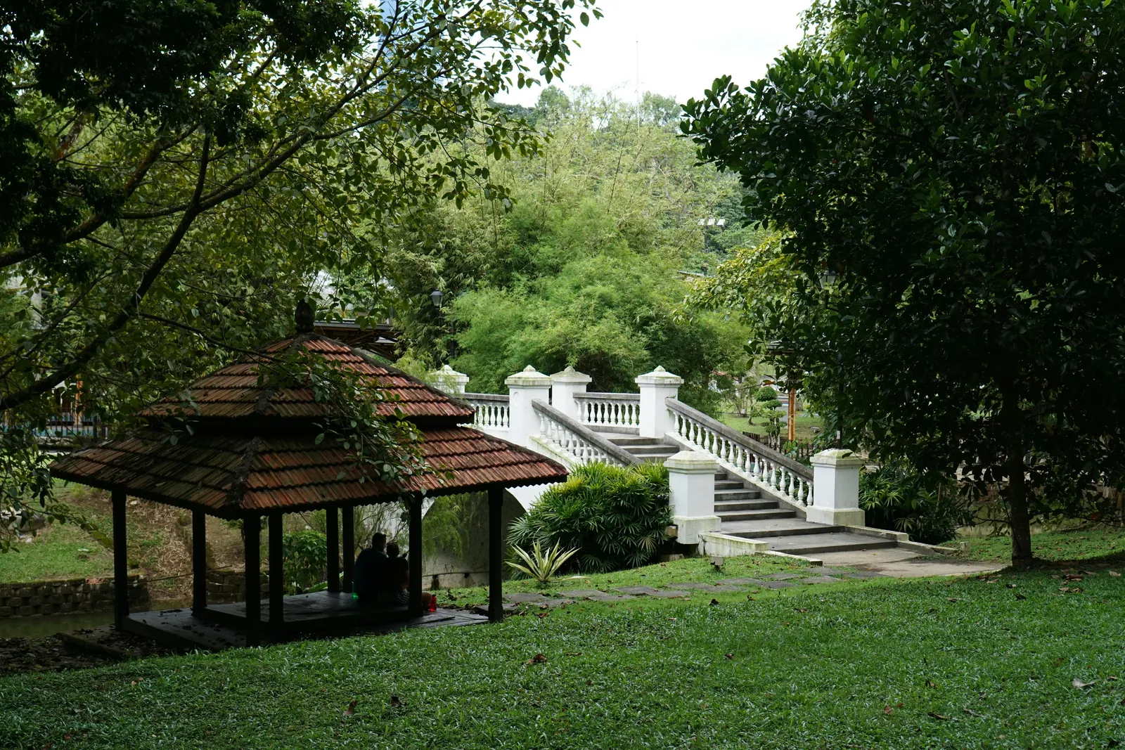 A timber gazebo with a brown tiled roof on a sloping lawn, shaded by large trees, with white balustraded steps and a small bridge behind among tropical plants, and two people sitting in the shade