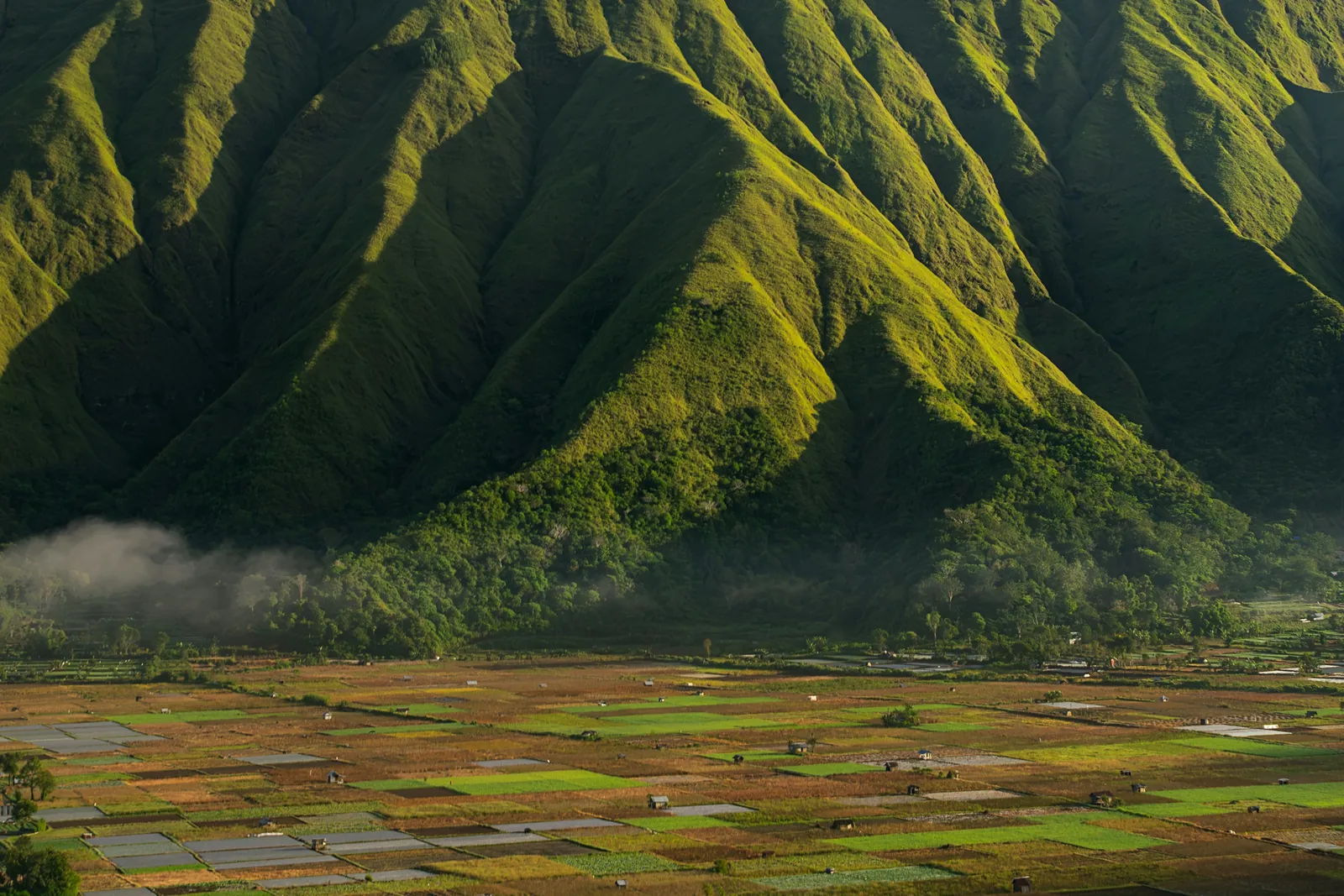 A steep green ridge with deep folds rising above a patchwork of farm fields in a valley, with mist at its foot