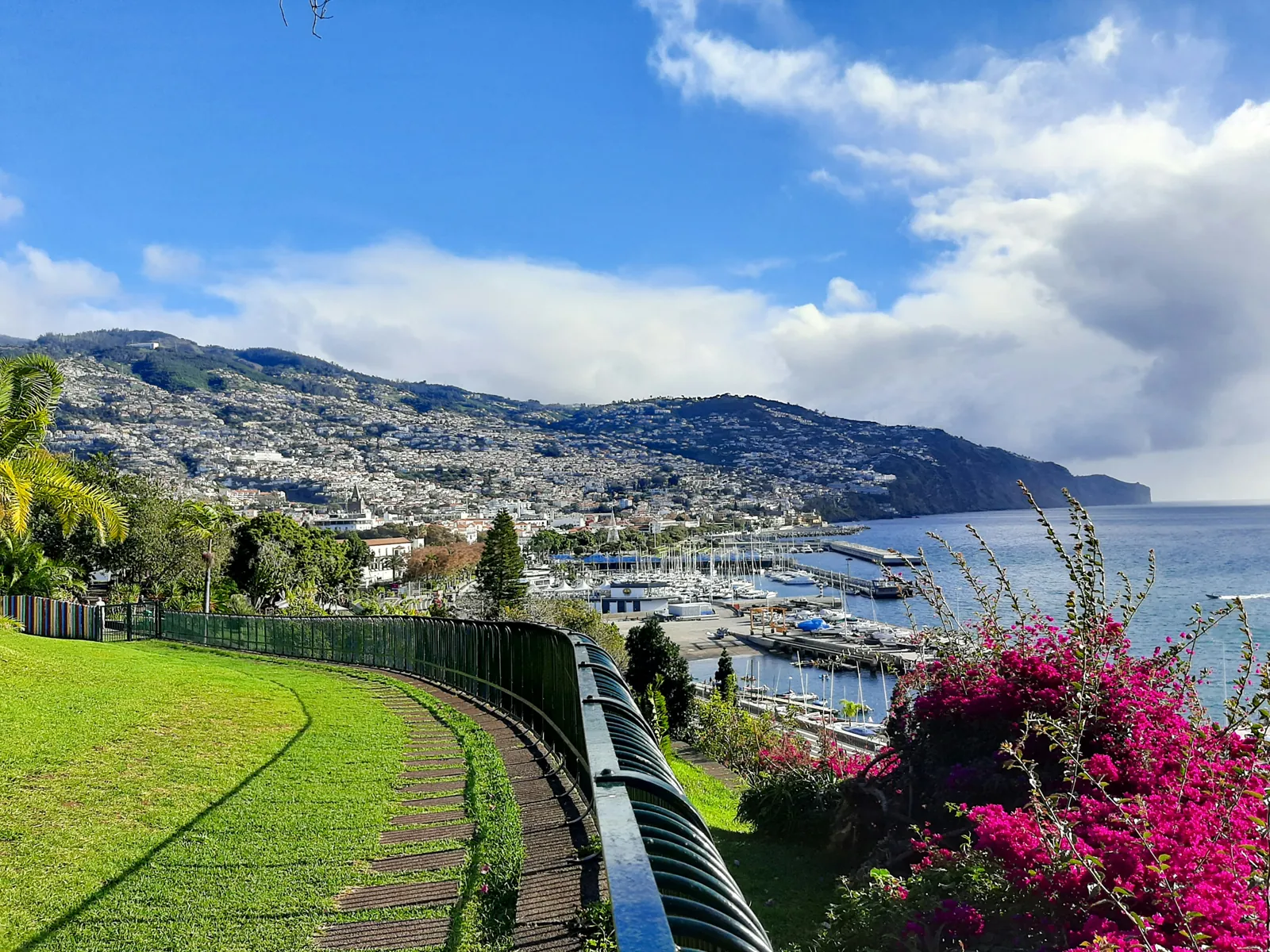A park path lined with pink bougainvillea above a marina, with the city of Funchal spreading up steep green hills around a blue bay