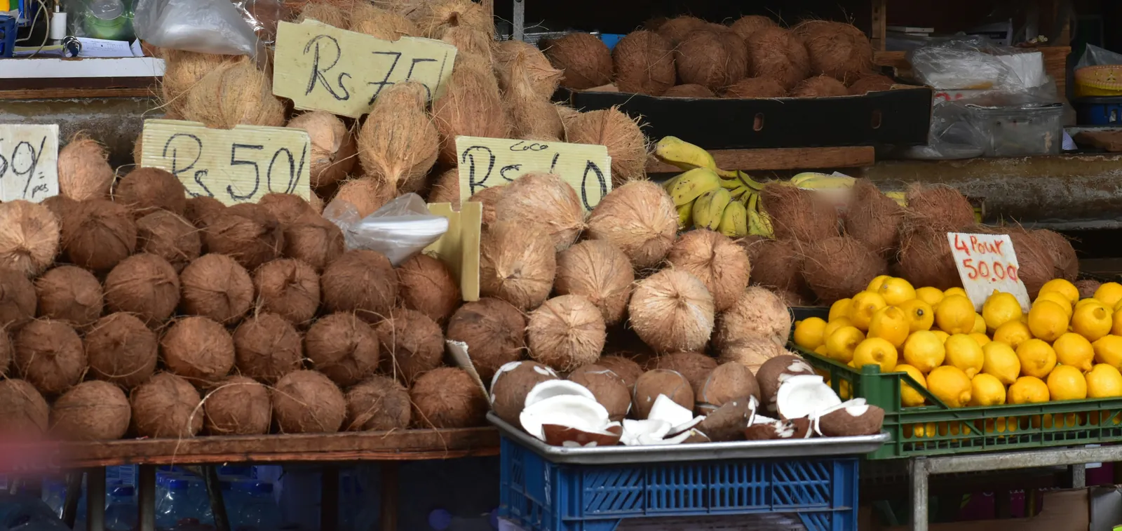 Piles of brown coconuts with handwritten price cards in rupees, a tray of split coconuts, a crate of lemons and a few bunches of bananas on a market stall