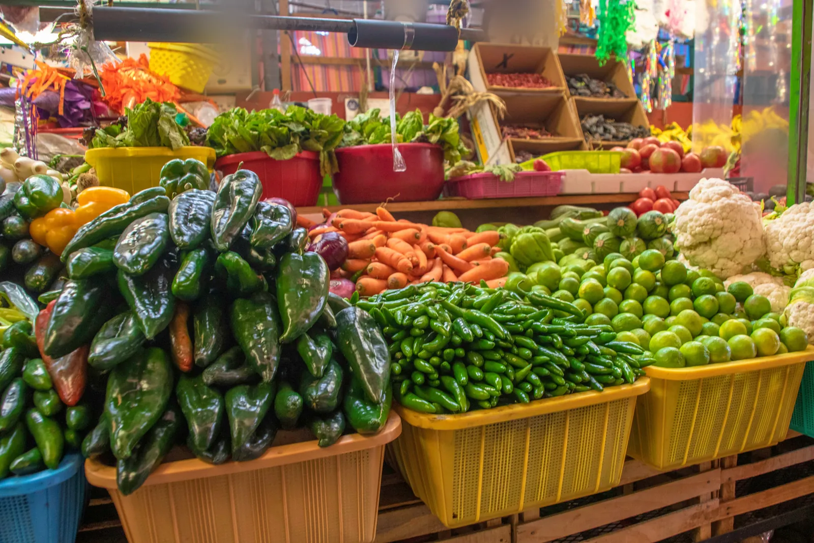 A market stall piled with dark green poblano chillies, small green chillies, limes, carrots and cauliflowers in yellow plastic baskets, with lettuces and dried chillies behind