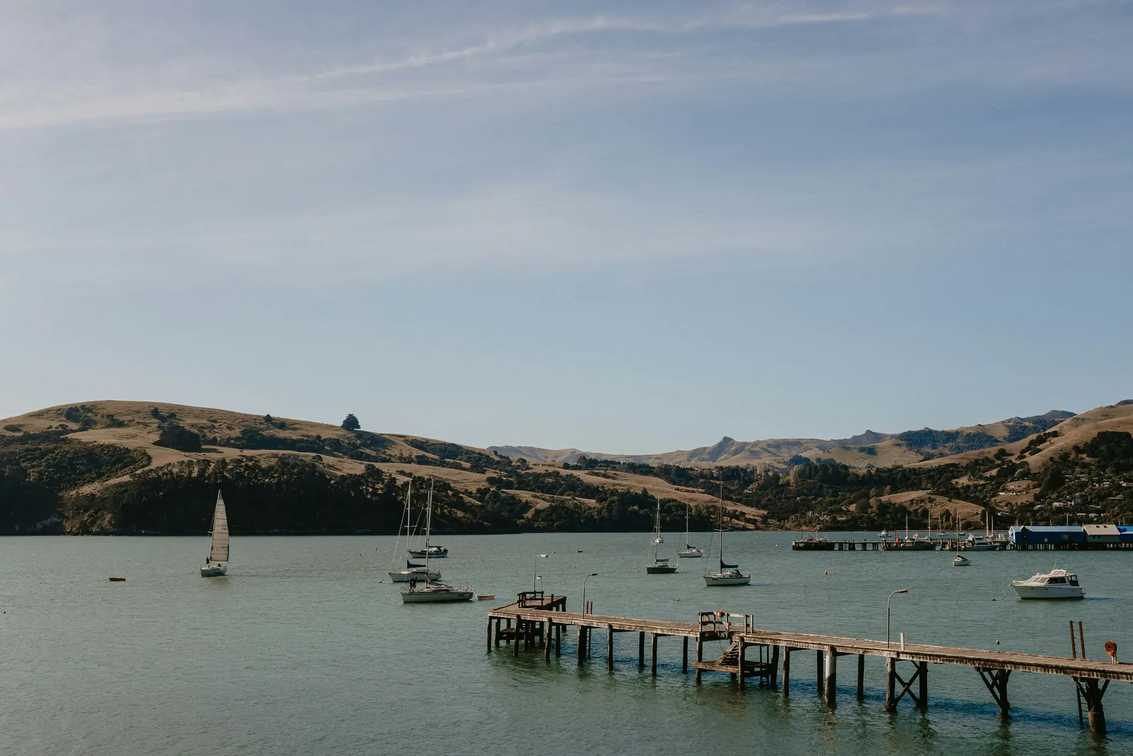 An old timber jetty running out into Akaroa Harbour, with yachts at their moorings and dry golden hills behind