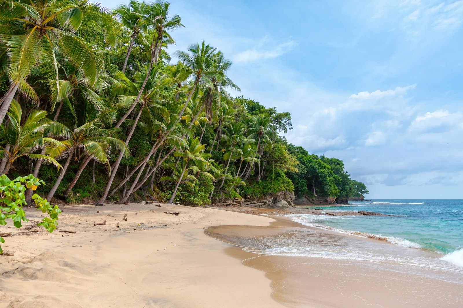 An empty golden sand beach curving round a small bay, backed by leaning coconut palms and thick green forest, with gentle surf and a rocky point