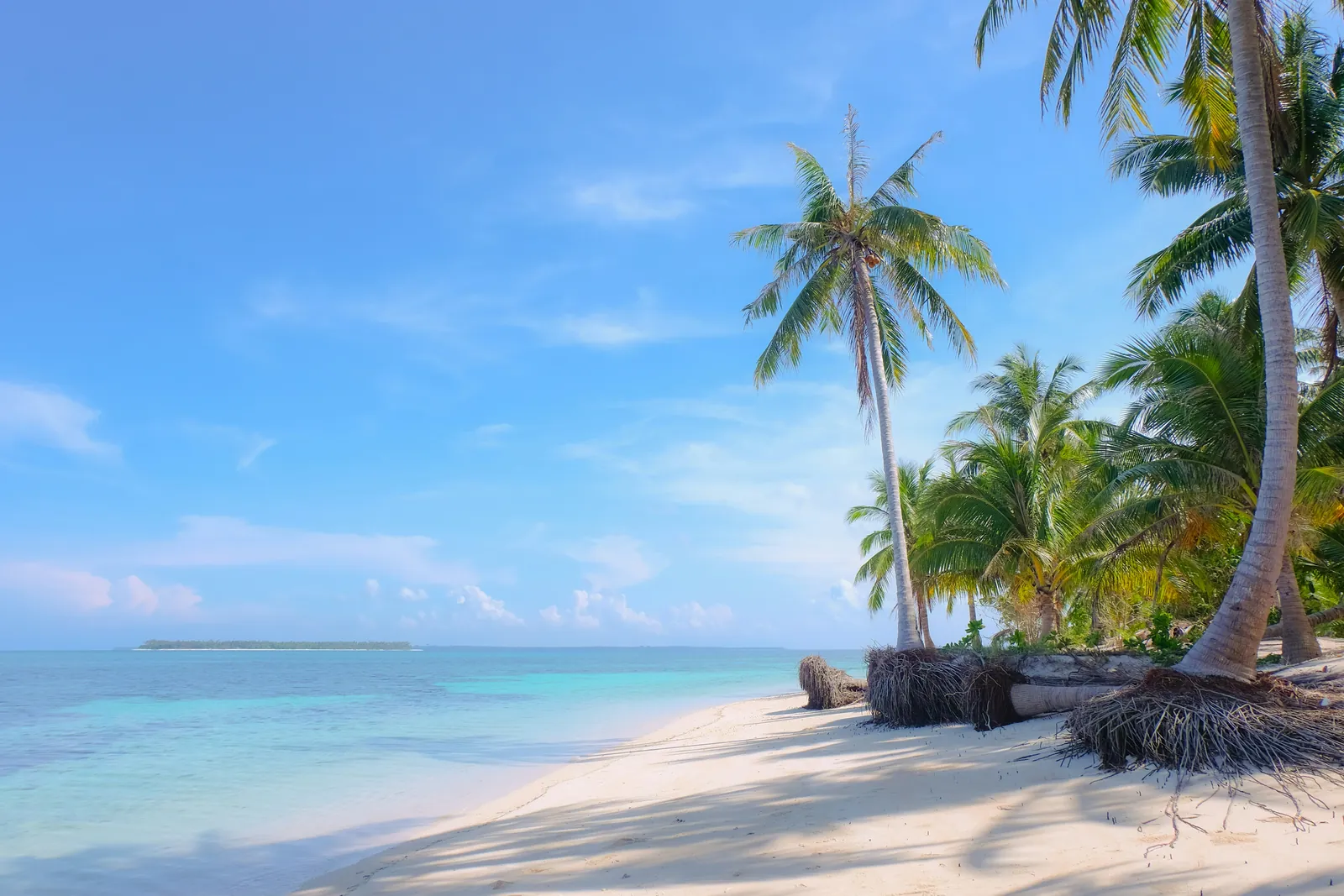 White sand beach with leaning coconut palms on the right and shallow turquoise water stretching to a low island on the horizon