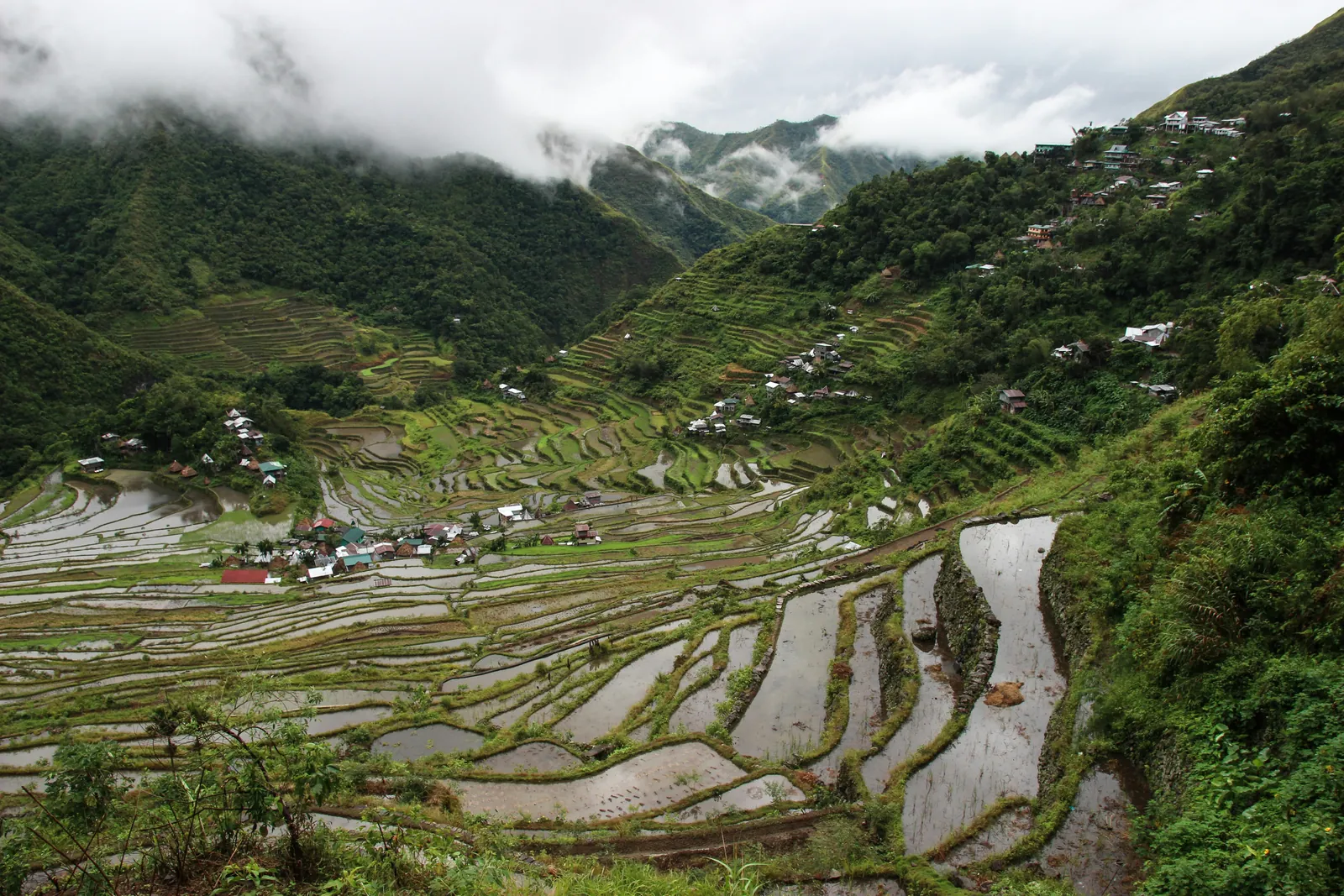 Flooded rice terraces curving down a steep green valley under low cloud, with a small village among the fields