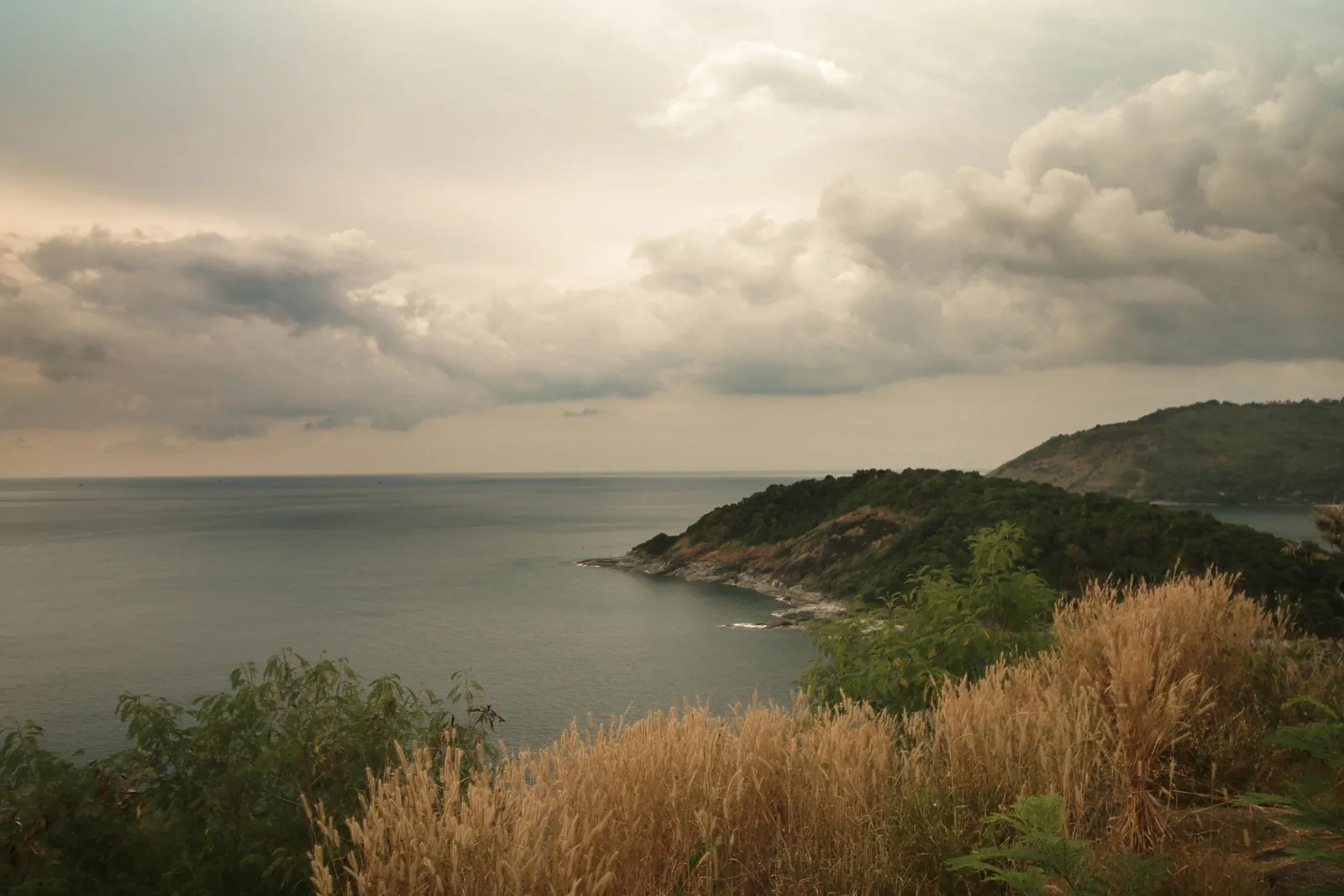A wooded cape running out into a calm grey sea under heavy cloud, with dry grass in the foreground