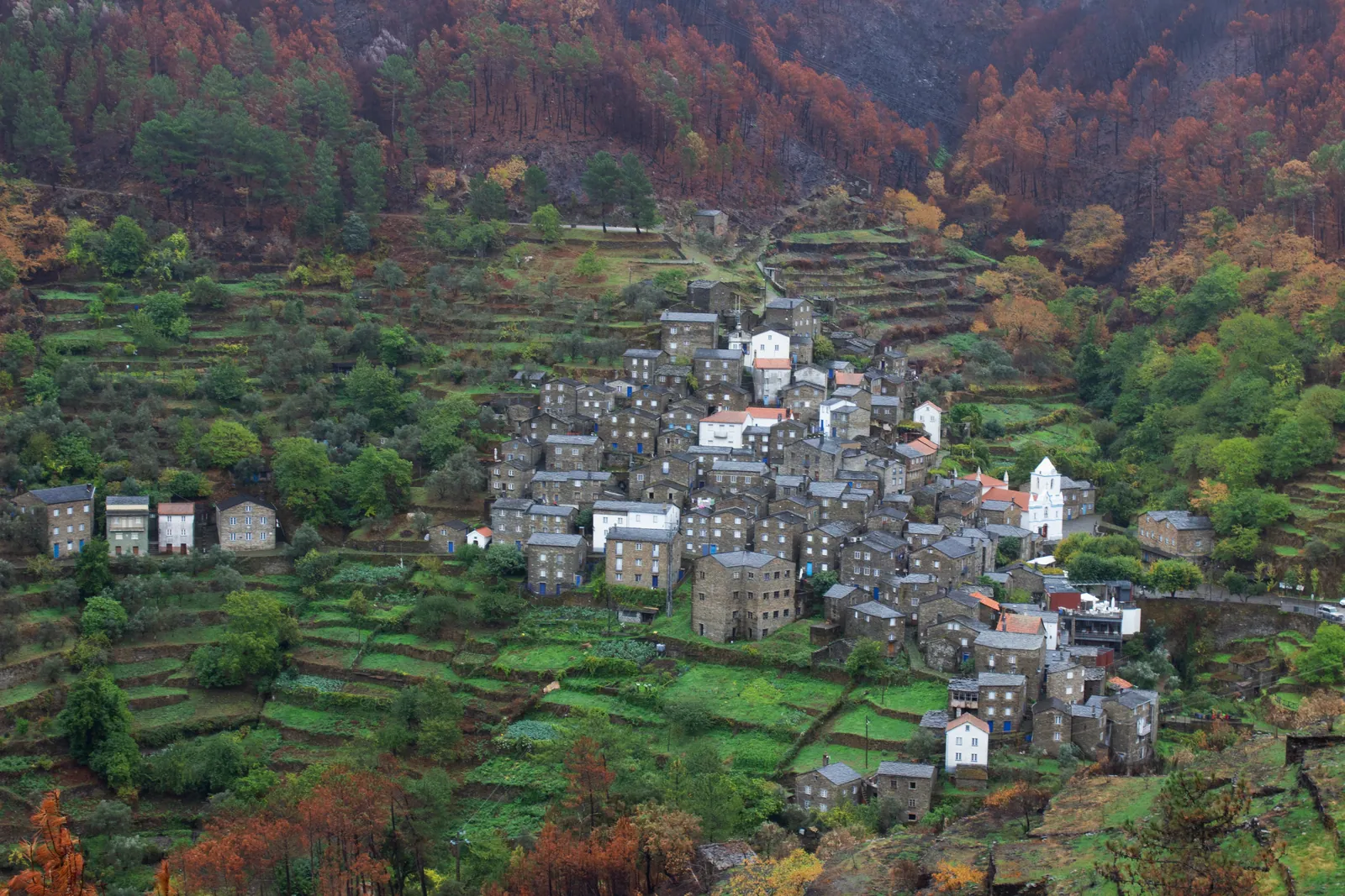 Grey schist houses with blue doors stacked on a terraced green hillside, with a small white church and pine forest above