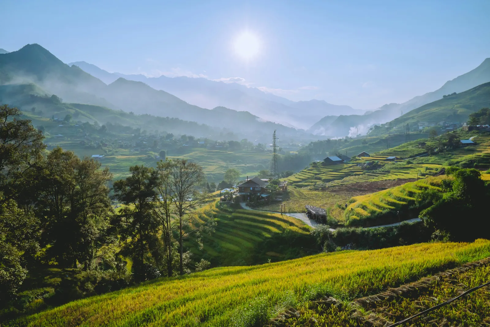 Green and gold rice terraces stepping down a sunny valley, with a wooden farmhouse, a power pylon and misty mountains behind